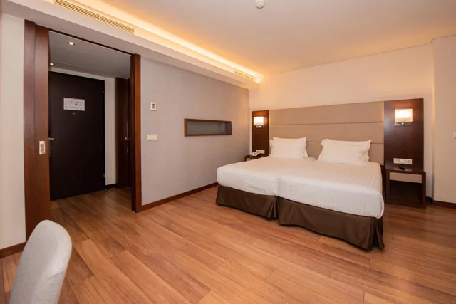 1 Bedroom, Apartment, Eurostars Oporto 4/9
