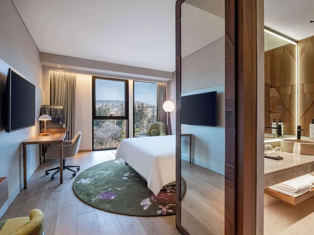 Swiss, Business, Double Bed، Swissotel Tbilisi 6/9