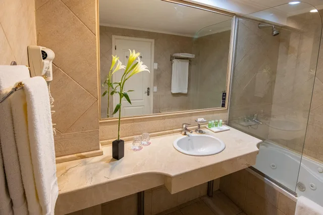 غرفة قياسية بإطلالة، PESTANA BUENOS AIRES 5/6