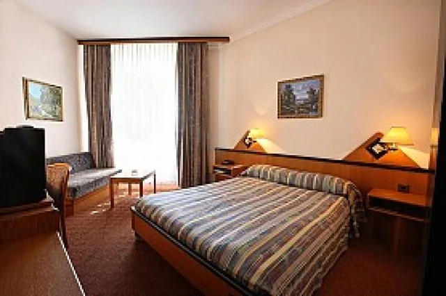 غرفة قياسية مفردة، Kazakhstan Hotel 1/2