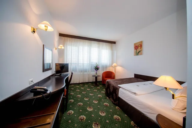 Standard, Single, Best Western Central Hotel 2/10