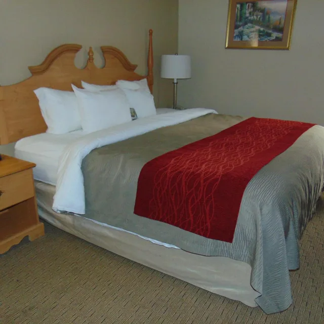 غرفة بسرير كينج بجاكوزي، Econo Lodge Newport Smoky Mountains Gateway 1/9