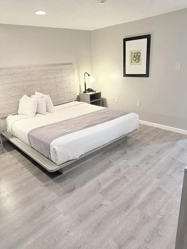 Basic, Single, King Bed, Accessible, Knights Inn Danvers 4/8