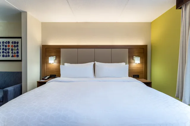 جناح بسرير كينج مع أريكة بحوض جاكوزي لذوي الإعاقة، Holiday Inn Express And Suites Cedar Falls Waterloo 2/3