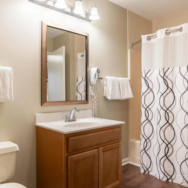 1 Bedroom, Condo, Partial Kitchen، Massanutten Resort 3/3