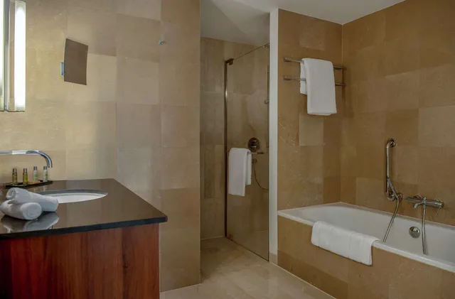 Room, King Bed, Hilton Beirut Downtown 13/13