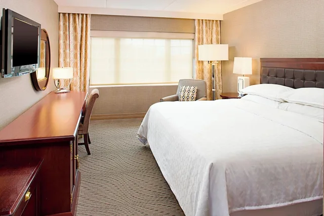 غرفة كلوب بسرير كينج، Sheraton Rockville Hotel 1/2