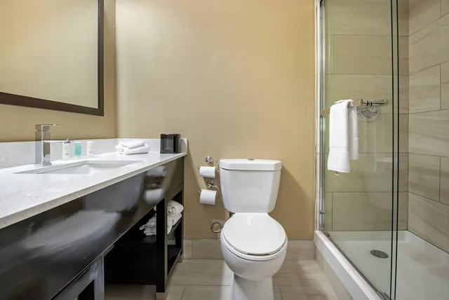 Standard, King Bed, Pet Friendly, Clarion Hotel Conference Center Lexington North 4/4
