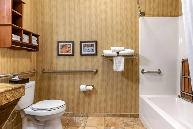 Room, King Bed, Bathtub, Accessible, Comfort Inn Wings Stadium 8/10