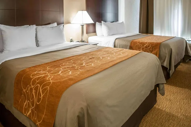جناح بسرير كوين، Comfort Suites Albuquerque/North Journal Center 6/10