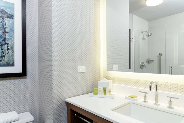 جناح بشرفة، Hilton Chicago/Oak Brook Hills Resort & Conference Center 2/3