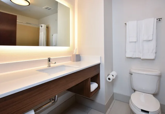 جناح بسرير كينج، Holiday Inn Express Hotel & Suites Selma 3/3