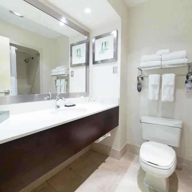 Suite, King Bed, Sofa, Holiday Inn Suites Windsor Ambassador Bridge 6/10