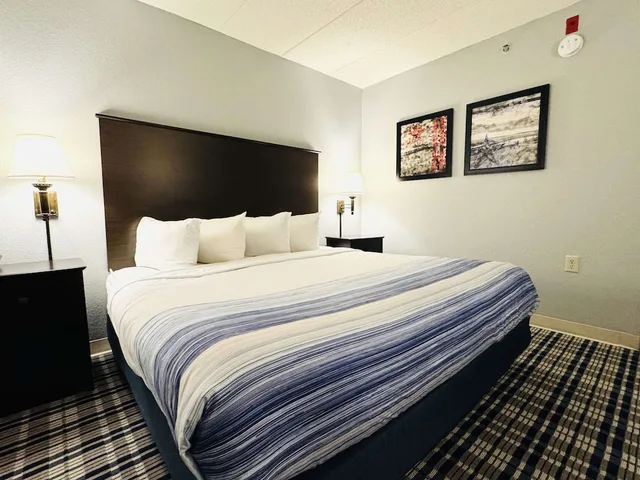 جناح بريميير بسرير كينج بغرفة نوم واحدة، AmericInn by Wyndham Ames 3/6