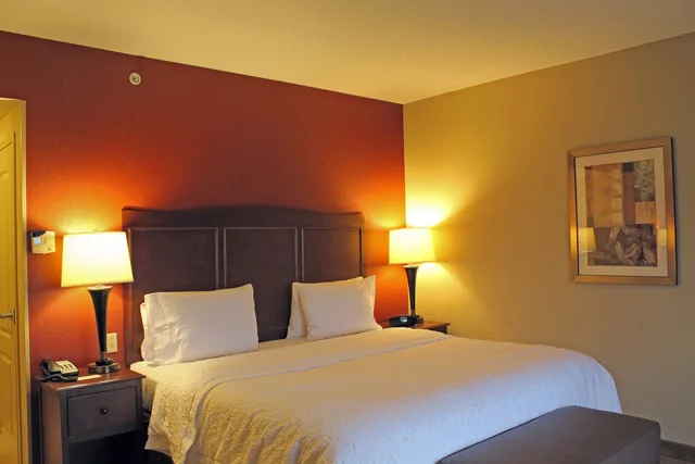 غرفة بسرير كينج لذوي الإعاقة، Hampton Inn & Suites St. Louis/South I-55 Mo 2/7