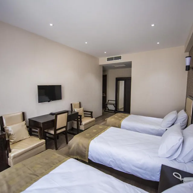 غرفة كلاسيكية ثلاثية، Tbilisi Inn 4/8