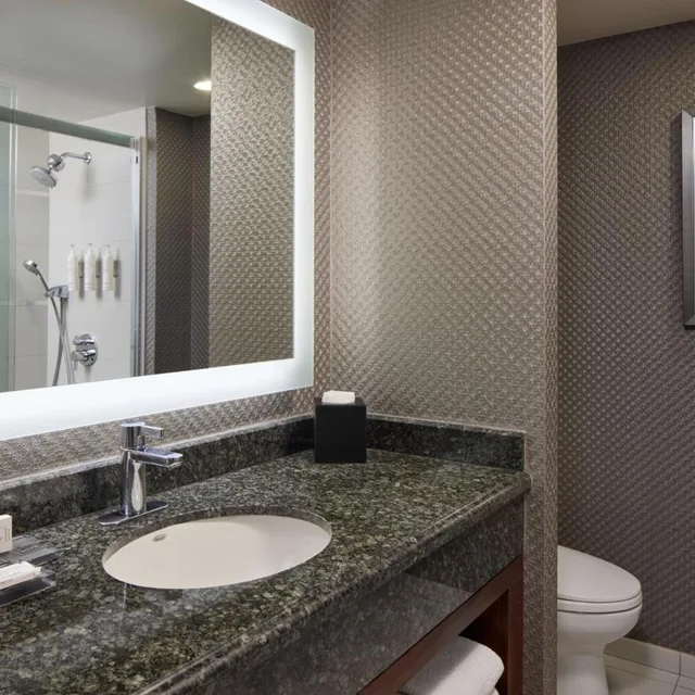 جناح جونيور بسرير كينج مع دخول الصالة، Crystal Gateway Marriott 4/4