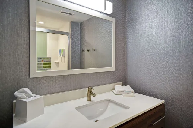 Spa, Studio, Suite, King Bed، Home2 Suites By Hilton Georgetown 3/4