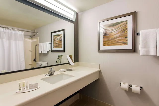 Room, King Bed, Bay View، Sonesta Emeryville - San Francisco Bay Bridge 3/3