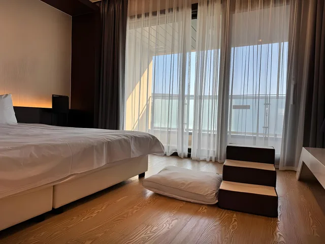 غرفة يُسمح فيها بالحيوانات الأليفة، The Qube Resort Jeju 1/1