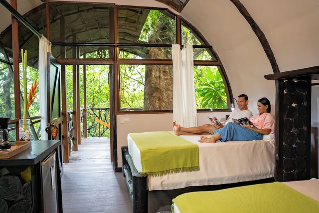 Tree House, 2 Queen Beds, Mountain View، Maquenque Eco-Lodge 6/9
