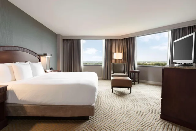 Junior, King Bed, Nature View, Large، Hilton East Brunswick Hotel Executive Meeting Center 1/2