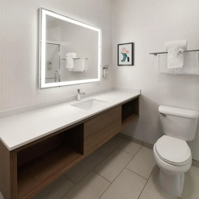 جناح بسرير كوين بغرفة نوم واحدة، Holiday Inn Laramie 4/4