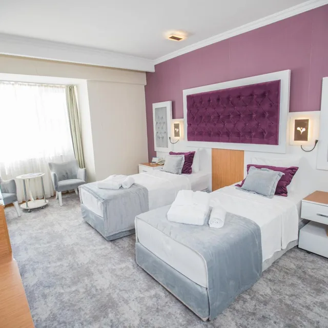 غرفة بسرير مزدوج أو سريرين منفصلين، Orucoglu Thermal Resort 2/6