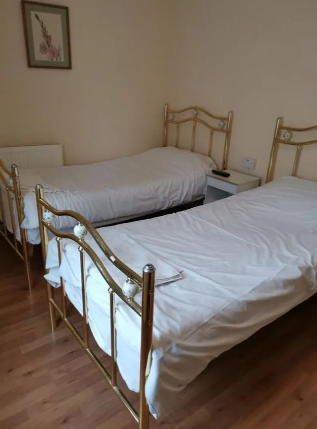 غرفة قياسية بسريرين منفصلين، OYO Swan Inn, Heathrow Airport 1/1