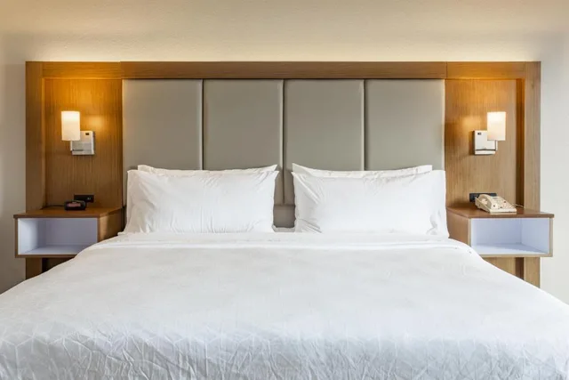 غرفة قياسية بسرير كينج لذوي الإعاقة، Holiday Inn Express Rockford Loves Park 2/3