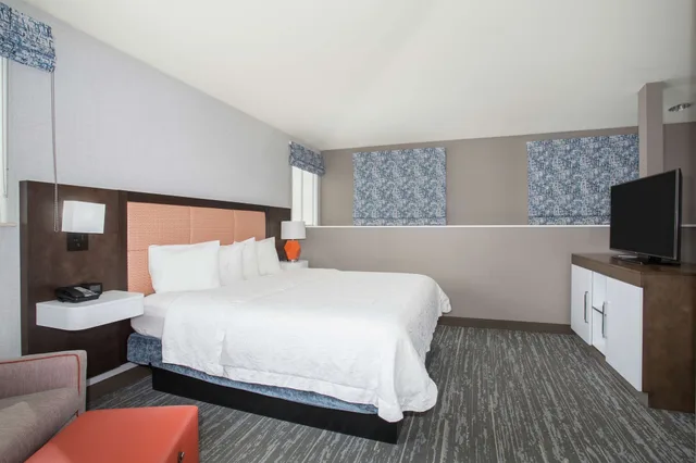 Suite, King Bed, Sofa, Hampton Inn Suites Denver Downtown 1/3