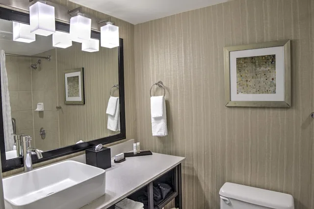 جناح بسرير كينج مع أريكة، Embassy Suites Indianapolis North 4/4