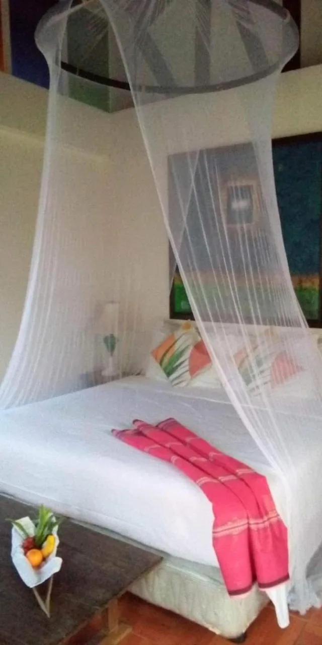 فيلا بغرفة نوم واحدة، Hoyohoy Villas 1/2