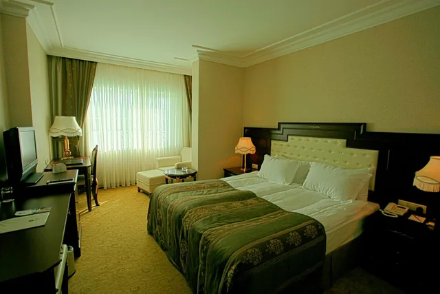 غرفة قياسية بسرير مزدوج، Radisson Blu Hotel Sakarya 1/4