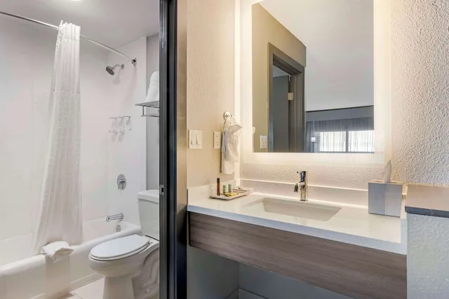 غرفة قياسية بسرير كينج يُسمح فيها بالحيوانات الأليفة، Aiden by Best Western South Reno, NV 4/5