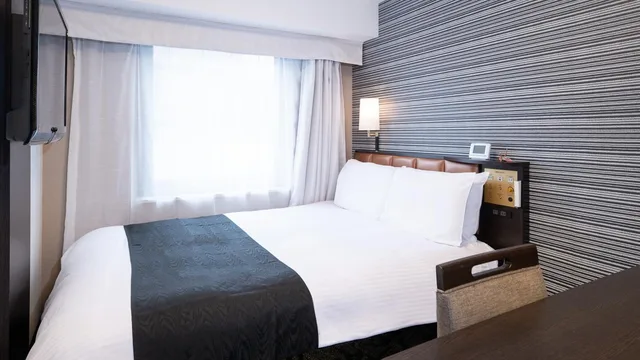 Standard, Double Bed, City View, Main Building, APA Hotel Akihabara-ekimae 1/1
