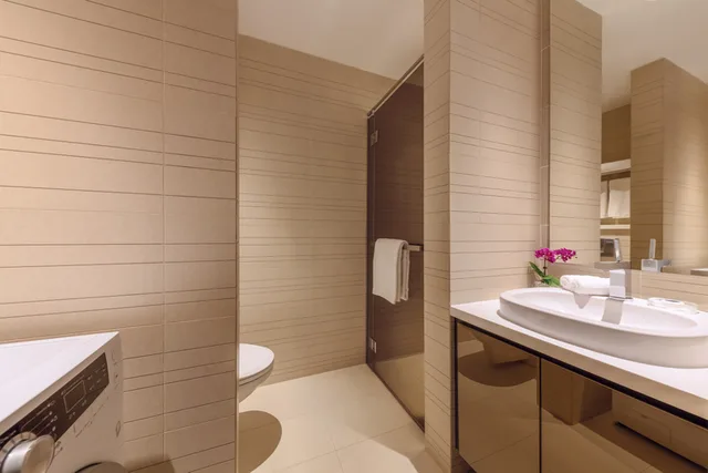 غرفة ديلوكس بغرفة نوم واحدة، Pan Pacific Serviced Suites Orchard 2/2