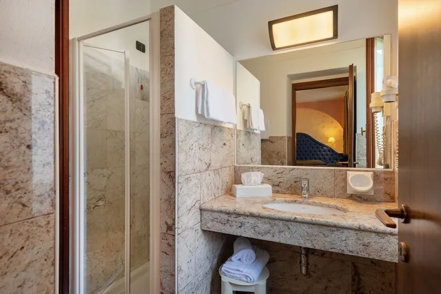 غرفة قياسية بسرير مزدوج، HOTEL DU PARC 2/2