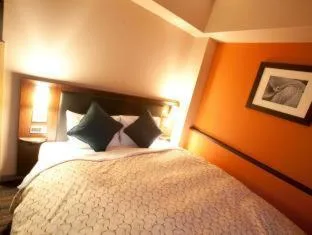 غرفة، Toyama Manten Hotel 3/4