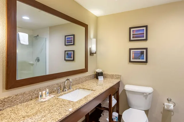 جناح بسرير كينج، Comfort Suites Near Denver Downtown 3/3