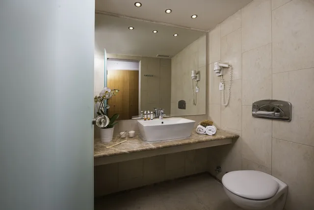 غرفة بسريرين منفصلين بإطلالة على البحر، Kassandra Palace Seaside Resort 9/9