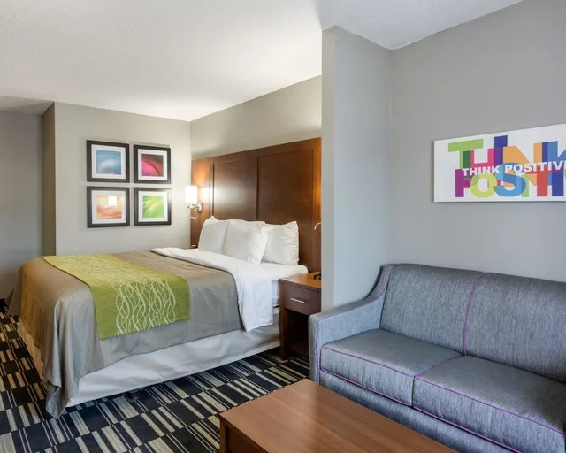 جناح بسرير كينج مع أريكة لذوي الإعاقة، Quality Inn Suites Ashland Near Kings Dominion 2/2