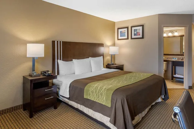 Room, Queen Bed, Sonesta Essential NW Houston 1/1