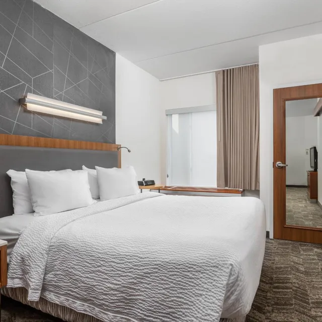 استوديو بسرير كينج مع سرير سحّاب إضافي مع أريكة، Springhill Suites Chattanooga Downtown Cameron Harbor 1/6