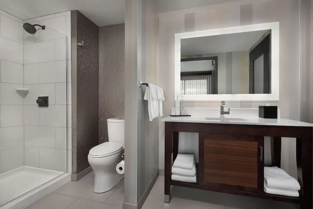 غرفة بريميوم بسرير كينج لذوي الإعاقة، Embassy Suites Knoxville West 2/4