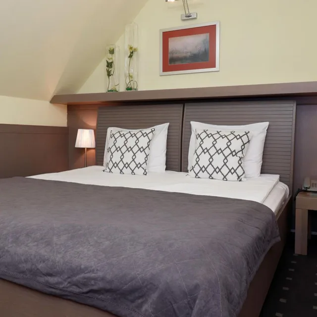 Business, Double Bed, River View, Garni Hotel Leopold I 1/4