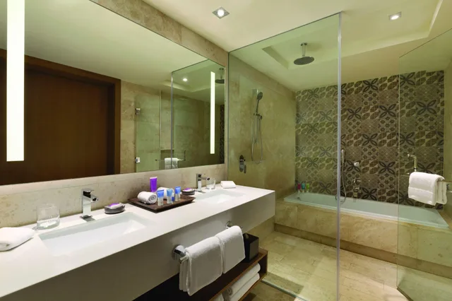 Master, Double Bed, Dolphin View، HYATT ZIVA CANCUN 3/3