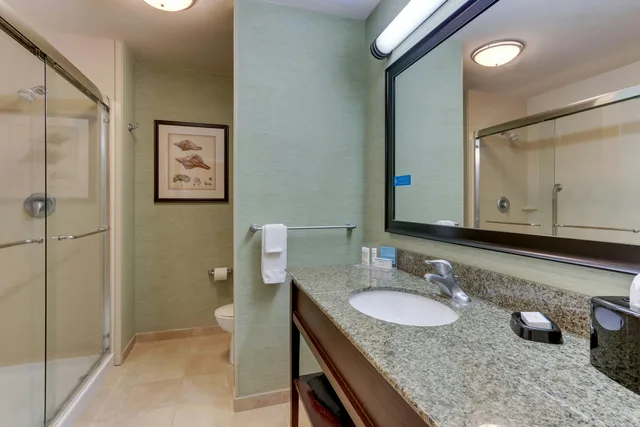 غرفة قياسية بسرير كينج، Hampton Inn & Suites Swansboro Near Camp Lejeune, NC 6/6