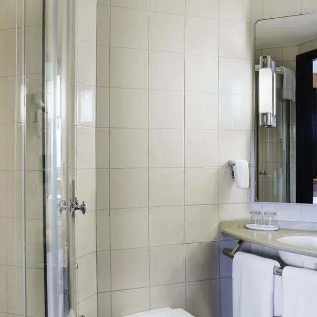 غرفة بريفيليج بسرير مزدوج، Ibis Muscat 5/6