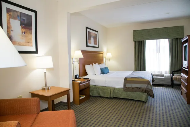 Deluxe, Studio, Suite, King Bed, Wingate By Wyndham Atlanta Airport Fairburn 3/5
